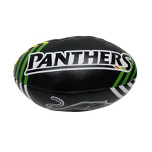 Load image into Gallery viewer, PANTHERS SPONGE SUPPORTER BALL STEEDEN