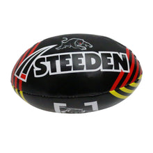 Load image into Gallery viewer, PANTHERS SPONGE SUPPORTER BALL STEEDEN