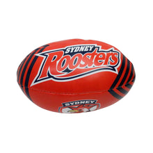 Load image into Gallery viewer, ROOSTERS SPONGE SUPPORTER BALL STEEDEN