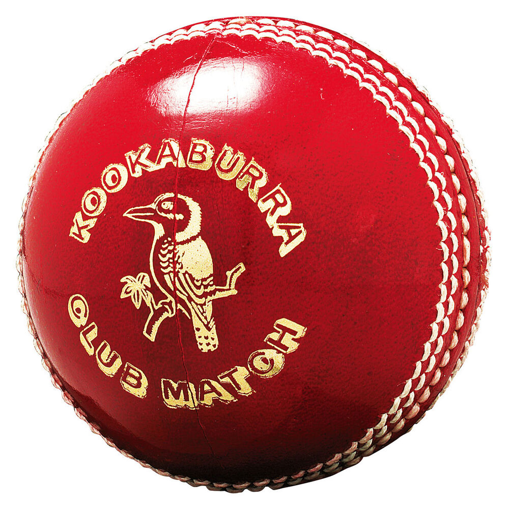 KOOKABURRA CLUB MATCH 156g SENIOR CRICKET BALL RED KOOKABURRA