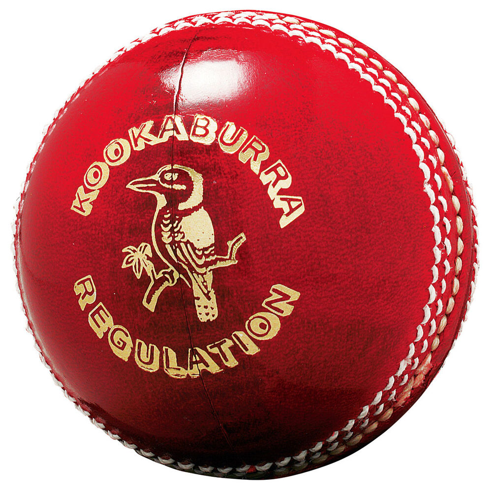KOOKABURRA REGULATION 156g SENIOR CRICKET BALL RED KOOKABURRA