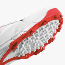 Load image into Gallery viewer, DSC Rubber Cricket Shoes Zooter DSC