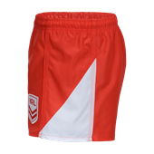 Load image into Gallery viewer, DRAGONS SUPPORTER SHORTS ADULT The Big Outlet Store