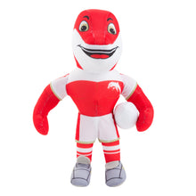 Load image into Gallery viewer, DOLPHINS  MASCOT PLUSH NRL